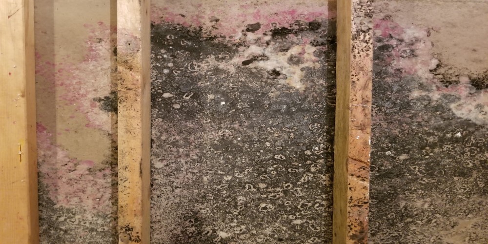 Dry Ice Cleaning Mold Remediation Michigan dry ice blasting Michigan; co2 blasting Michigan; dry ice cleaningMichigan; ice blasting Michigan; dry ice blasting near me Michigan; dry blasting Michigan; dry ice blast cleaning Michigan; dry ice blasting servicesMichigan; dry ice cleaning services Michigan; dry ice blasting cost Michigan; ice cleaning services Michigan; dry ice blaster price Michigan; dry ice paint removal Michigan; dry ice blasting pellets Michigan; dry ice blasting companies near me Michigan;