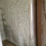 Mold-project-1-picture-2-225x300