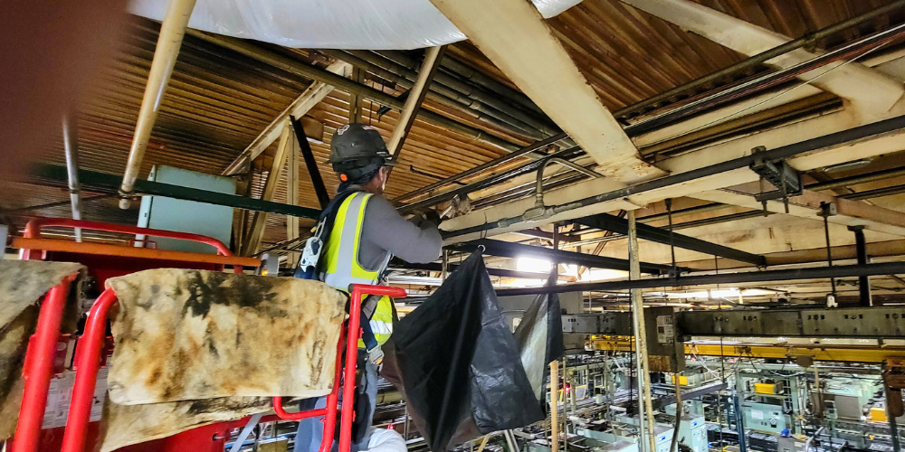 ceiling cleaning Michigan; high ceiling cleaning tools Michigan; ceiling cleaning business Michigan; high ceiling cleaning dusters Michigan; ceiling cleaning services Michigan; ceiling cleaning company Michigan; cleaning a ceiling before painting Michigan; high ceiling cleaning equipment Michigan; ceiling cleaning broom Michigan; cleaning a ceiling Michigan; the ceiling cleaning company Michigan;