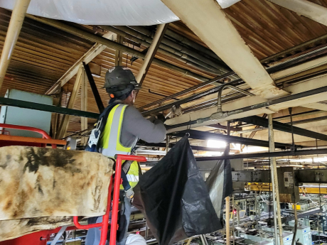 ceiling cleaning Michigan; high ceiling cleaning tools Michigan; ceiling cleaning business Michigan; high ceiling cleaning dusters Michigan; ceiling cleaning services Michigan; ceiling cleaning company Michigan; cleaning a ceiling before painting Michigan; high ceiling cleaning equipment Michigan; ceiling cleaning broom Michigan; cleaning a ceiling Michigan; the ceiling cleaning company Michigan;